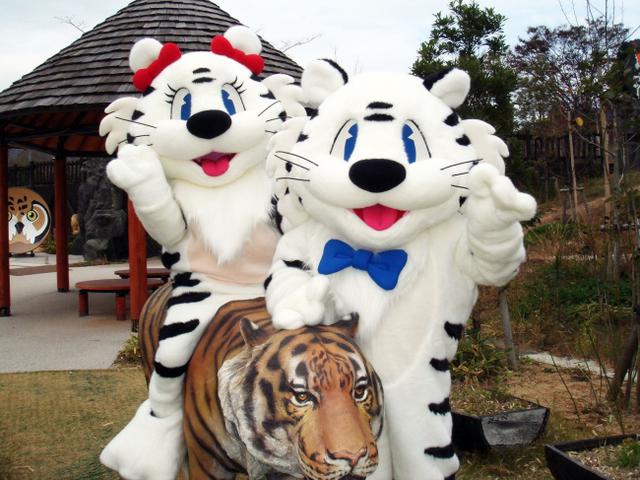 ホワッピーと撮影会