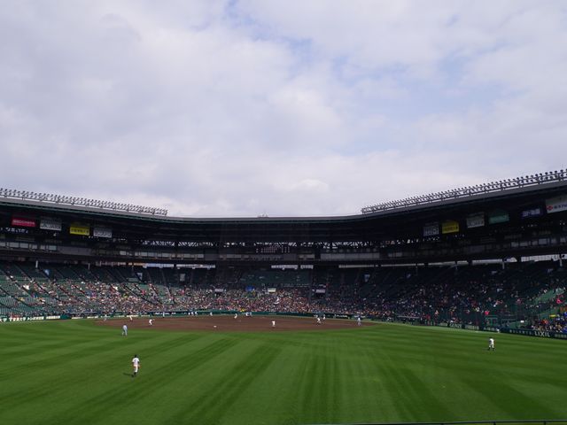 ▲全国高校野球選手権大会が行われる阪神甲子園球場。炎天下、投手はときに200球以上の球数を投げ、場合によっては何日間も連投することになるわけだが……